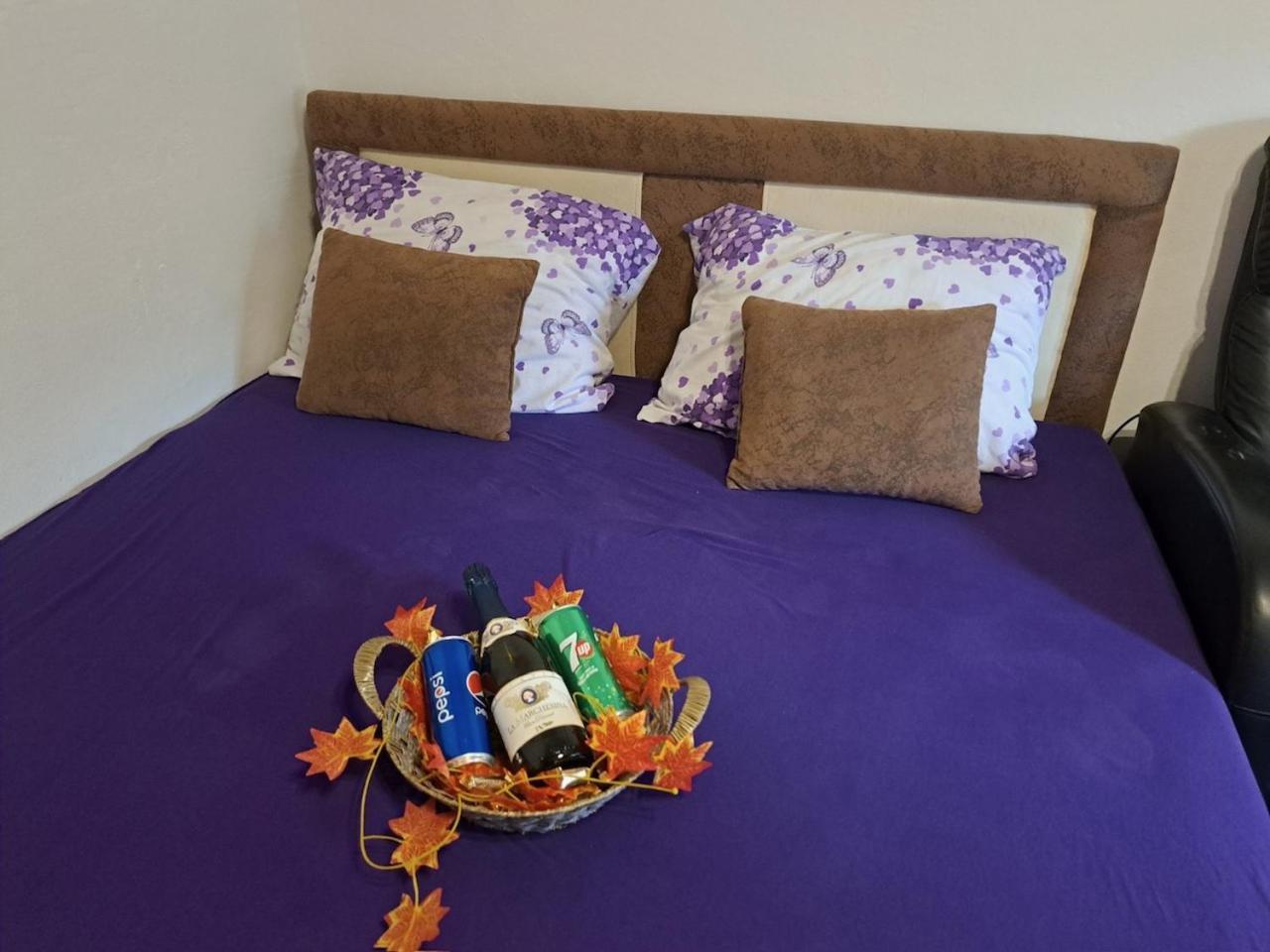 Apartman En Dusanovac المظهر الخارجي الصورة